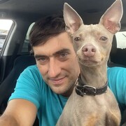 ���������� ��������, ���� ������� ����, 36 ���, ������������ ��� ������, ���������