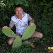  ,   , 45 ,   