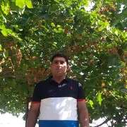 ���������� ����, ���� ������� �����, 41 ���, ������������ ��� ����� � ���������, c�������� ���������, ���������