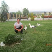  ,   Vitalii, 38 ,   