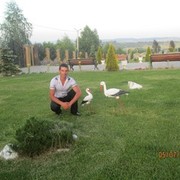  ,   Vitalii, 36 ,   