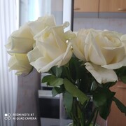 ���������� ������, ���� ������� �������, 47 ���, ������������ ��� ������, ����� � ���������, c�������� ���������, ���������