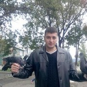 ���������� ����, ���� ������� �������, 50 ���, ������������ ��� ������, ����� � ���������, c�������� ���������