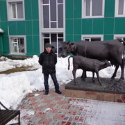 ���������� ���������, ���� ������� �������, 44 ����, ������������ ��� ����� � ���������, c�������� ���������, ���������