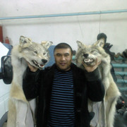  -,   , 48 ,   ,   , c , 