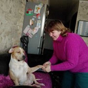 ���������� ������, ���� ������� ��������, 54 ����, ������������ ��� c�������� ���������