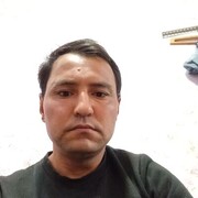  -,   , 43