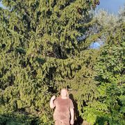 ���������� ������, ���� ������� ��������, 51 ���, ������������ ��� ���������