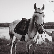 ���������� �����������-��-�����, ���� ������� Anna, 34 ����, ������������ ��� ������, ����� � ���������, c�������� ���������, ���������