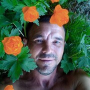 ���������� �������, ���� ������� ��������, 43 ����, ������������ ��� ������, ����� � ���������