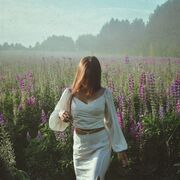 ���������� ������, ���� ������� �����, 22 ����, ������������ ��� ������, ����� � ���������