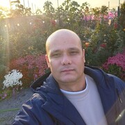 ���������� ���������, ���� ������� ������, 41 ���, ������������ ��� c�������� ���������, ���������