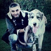  ,   Artyom, 43 ,   ,   