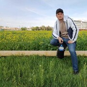  ,   , 38 ,   ,   