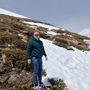 ���������� ������ �����, ���� ������� ������, 38 ���, ������������ ��� ������, ����� � ���������, c�������� ���������