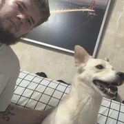 ���������� ������, ���� ������� Mishana, 32 ����, ������������ ��� ������, ����� � ���������, c�������� ���������, ���������