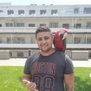 ���������� ������-��-����, ���� ����� �����, 25 ���, ������������ ��� ������, ����� � ���������