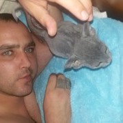  ,   , 42 ,  
