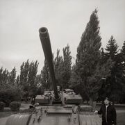 ���������� ������, ���� ����� ������, 24 ����, ������������ ��� ������, ����� � ���������