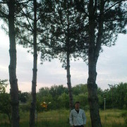  ,   , 39 ,   ,   , c , 