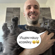 ���������� ������, ���� ������� ����, 40 ���, ������������ ��� c�������� ���������