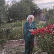 ���������� �����-���������, ���� ������� ���������, 79 ���, ������������ ��� ����� � ���������