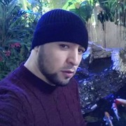 ���������� ������, ���� ������� Zver, 40 ���, ������������ ��� ������, ����� � ���������, c�������� ���������, ���������