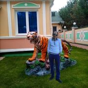  ,   , 45 ,   ,   