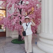 ���������� ��������, ���� ������� �������, 67 ���, ������������ ��� ������, ����� � ���������, c�������� ���������, ���������