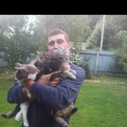 ���������� ������, ���� ������� �������, 45 ���, ������������ ��� ������, ����� � ���������