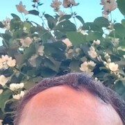  Shahriar,  mahmoud, 42