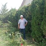 ���������� ����� �������, ������� �������, 43