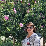 ,   , 41 ,     , c 
