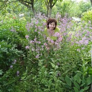 ���������� ������, ���� ������� ������, 57 ���, ������������ ��� ������, c�������� ���������