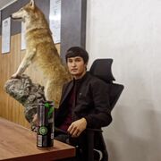 ���������� ������, ���� ����� �������, 22 ����, ������������ ��� ����� � ���������, c�������� ���������, ���������