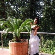 ���������� �������, ���� ������� �������, 35 ���, ������������ ��� c�������� ���������