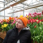 ���������� ������, ���� ������� Valik, 29 ���, ������������ ��� ������, ����� � ���������, c�������� ���������