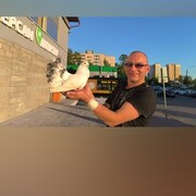 ���������� �����-���������, ���� ������� �������, 46 ���, ������������ ��� ������, ����� � ���������