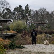 ���������� ������, ���� ������� ����, 28 ���, ������������ ��� ������, ����� � ���������