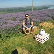 ���������� ���������, ���� ������� ����, 33 ����, ������������ ��� ������, ����� � ���������, c�������� ���������, ���������