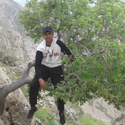  ,   Nosirjon, 38 ,   ,   , c 