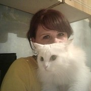  ,   , 40 ,  