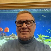  ,   , 55 ,  