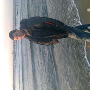 ���������� ������, ���� ������� Mihai, 36 ���, ������������ ��� ������, ����� � ���������, c�������� ���������, ���������