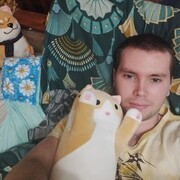  -,   , 28 ,   ,   