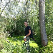 ���������� ������, ���� ������� �����, 37 ���, ������������ ��� ������, ����� � ���������, c�������� ���������