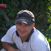  ,   , 41 ,  