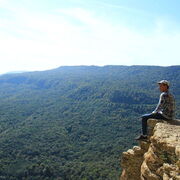 ���������� ���������, ���� ������� �������, 40 ���, ������������ ��� ������, ����� � ���������, c�������� ���������