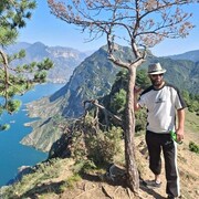 ���������� ���������, ���� ������� �����, 36 ���, ������������ ��� ������, ����� � ���������