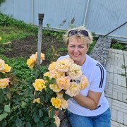 ���������� �����-���������, ���� ������� �������, 66 ���, ������������ ��� c�������� ���������